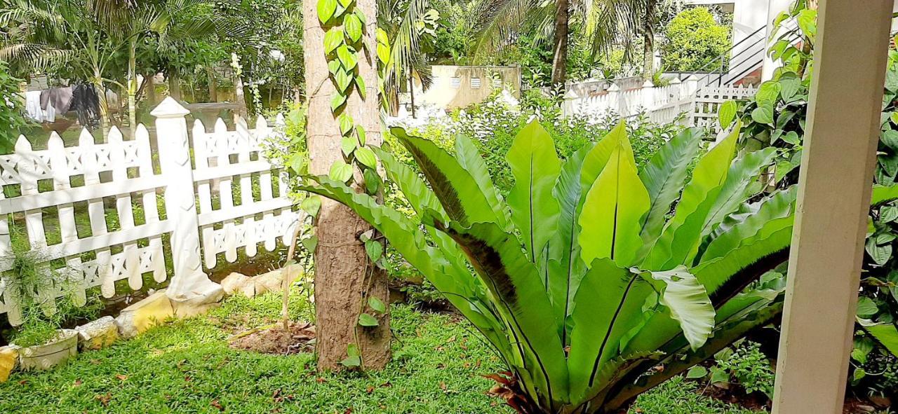 Hiriketiya Cinnamon Garden Dikwella Sur Exterior foto