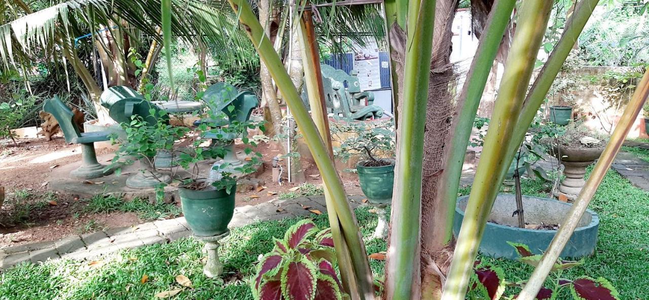 Hiriketiya Cinnamon Garden Dikwella Sur Exterior foto