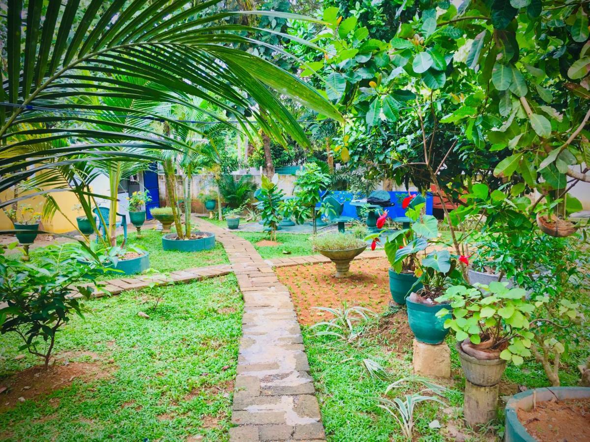 Hiriketiya Cinnamon Garden Dikwella Sur Exterior foto
